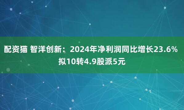 配资猫 智洋创新：2024年净利润同比增长23.6% 拟10转4.9股派5元
