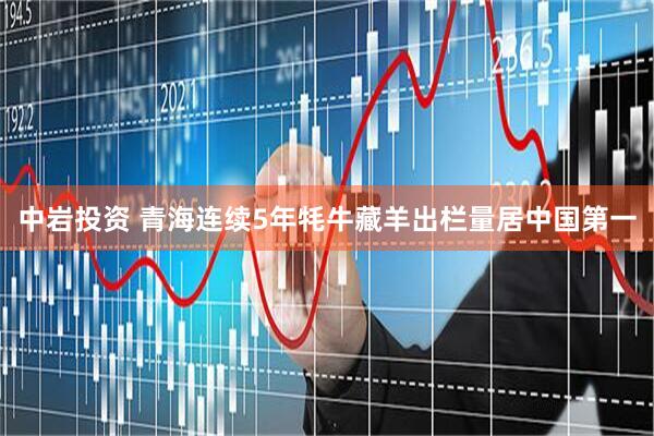 中岩投资 青海连续5年牦牛藏羊出栏量居中国第一