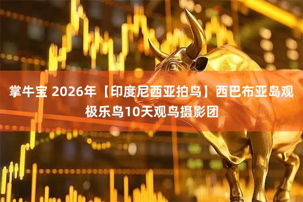 掌牛宝 2026年【印度尼西亚拍鸟】西巴布亚岛观极乐鸟10天观鸟摄影团