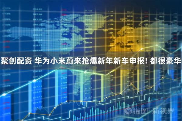聚创配资 华为小米蔚来抢爆新年新车申报! 都很豪华