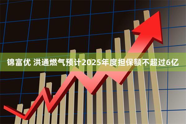 锦富优 洪通燃气预计2025年度担保额不超过6亿